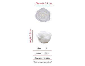 WHITE MOST WANTED PRESERVED ROSES - PACK OF 16 ROSES