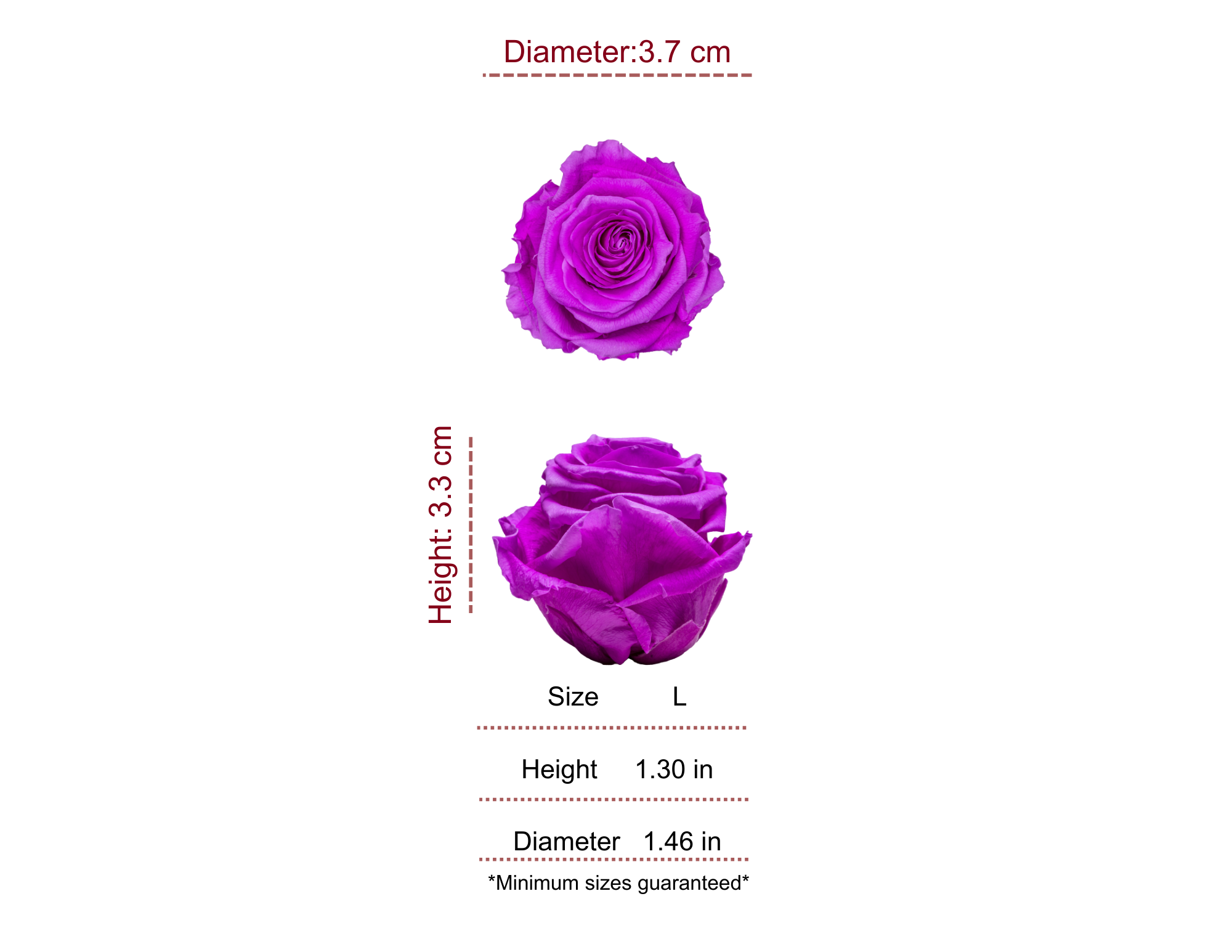 VIOLET MOST WANTED PRESERVED ROSES - PACK OF 16 ROSES