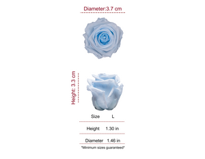 BABY BLUE MOST WANTED PRESERVED ROSES - PACK OF 16 ROSES