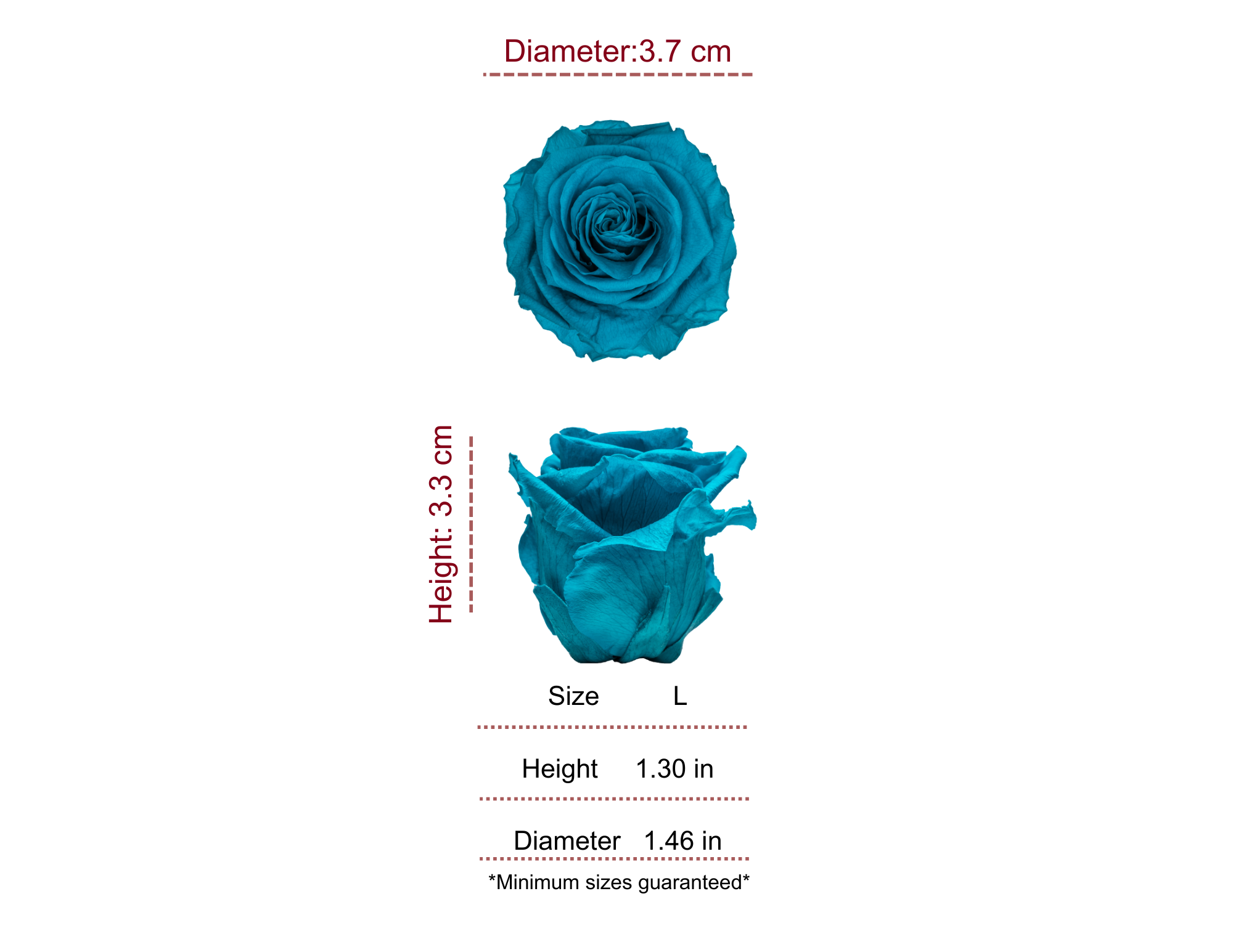 TIFFANY BLUE MOST WANTED PRESERVED ROSES - PACK OF 16 ROSES