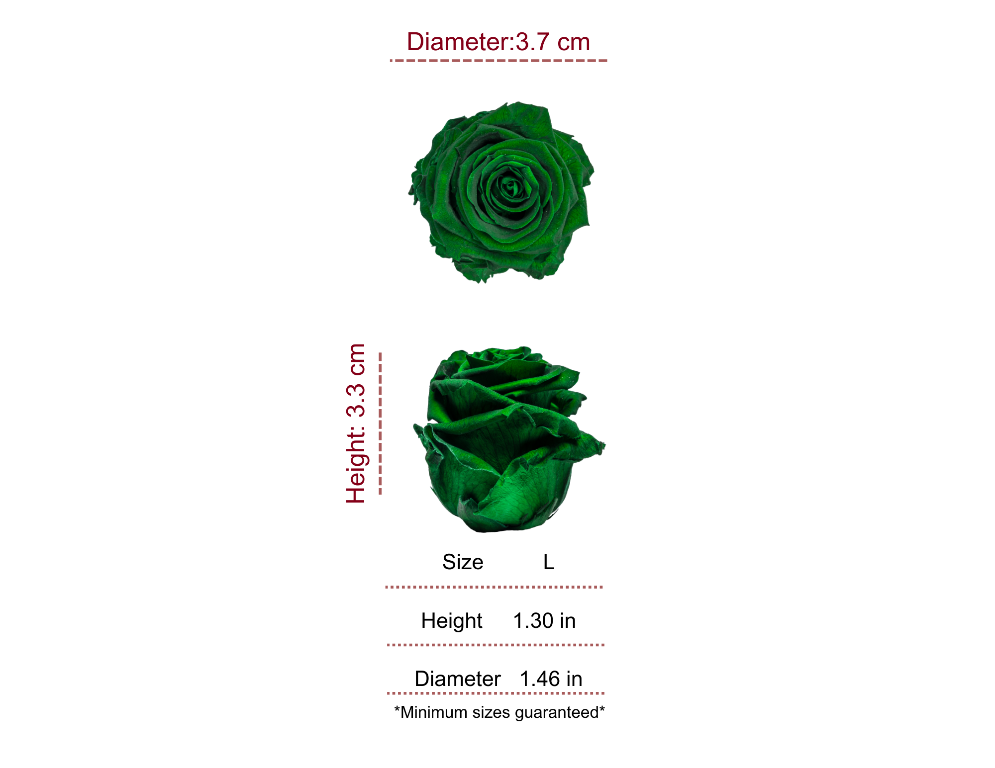 GREEN MOST WANTED PRESERVED ROSES - PACK OF 16 ROSES