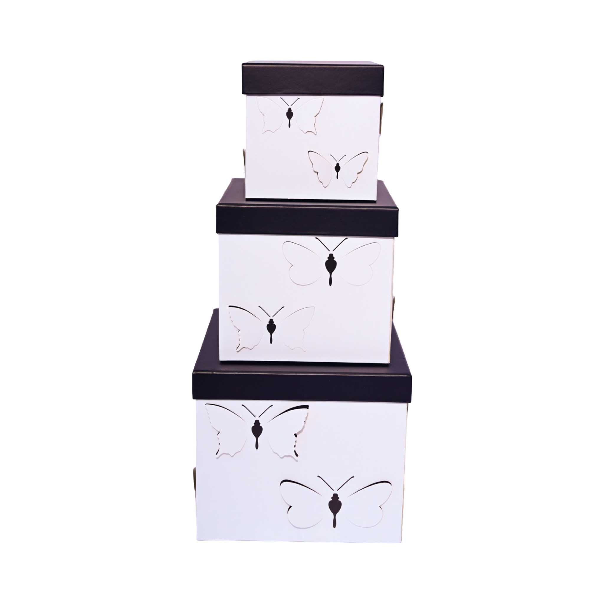 White Square - 3D Butterflies - Flower/Gift Boxes Set of 3